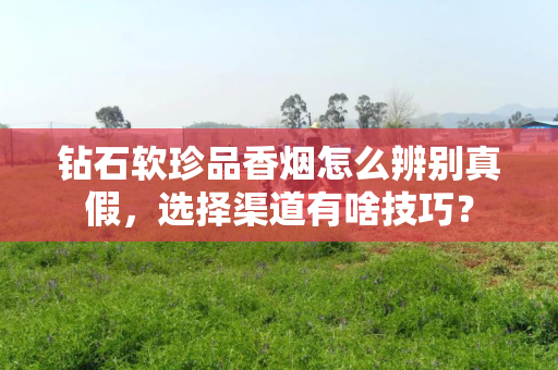 钻石软珍品香烟怎么辨别真假，选择渠道有啥技巧？